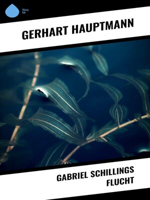 cover image of Gabriel Schillings Flucht
